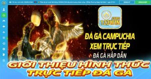 Giới thiệu hình thức trực tiếp đá gà tại 123win