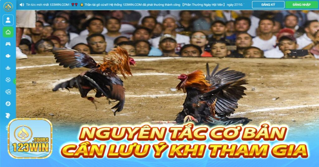 Nguyên tắc cơ bản cần lưu ý khi tham gia