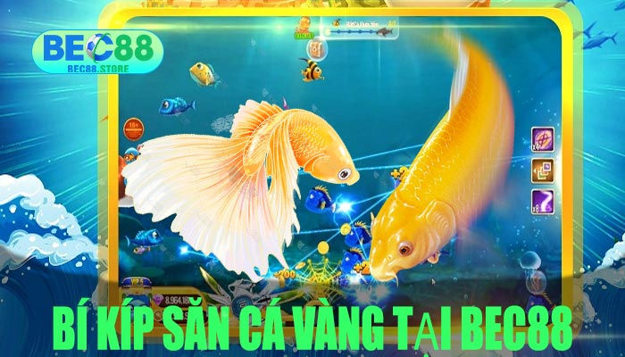 Bí Kíp Săn Cá Vàng Tại Bec88