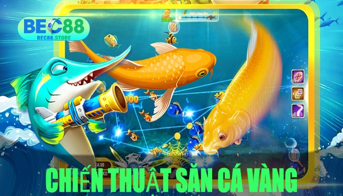 chiến thuật săn cá vàng