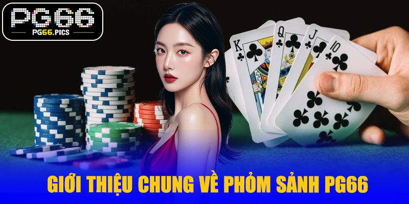 Giới thiệu chung về phỏm sảnh PG66